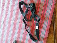 Halti für große Hunde-Beitrag-Bild