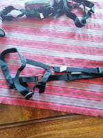 Halti für große Hunde-Beitrag-Bild