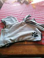 Bademantel für kleinere Hunde-Beitrag-Bild