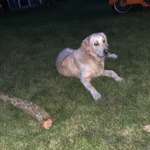 Ersteller:in Hinrich Profilbild