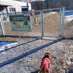 Hundeauslaufgebiet-Kapfenberg-Bild