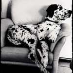 Ersteller:in Issi Profilbild