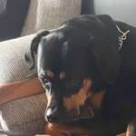 Ersteller:in Vivian Profilbild