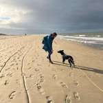 Ersteller:in Liane Profilbild