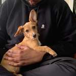 Ersteller:in Vanessa Profilbild