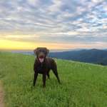 Ersteller:in Jasmin Profilbild