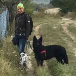 Ersteller:in Dibby Profilbild