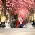 Ersteller:in Anna Profilbild