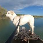 Ersteller:in Bastian Profilbild