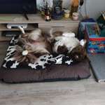 Ersteller:in Karin Profilbild