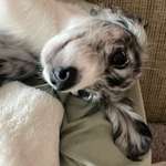 Ersteller:in Meike Profilbild