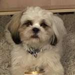 Ersteller:in Ingrid Profilbild