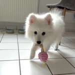 Ersteller:in Mathias Profilbild