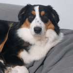 Ersteller:in D Profilbild