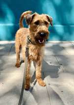 Ach, wie schnell die Zeit vergeht-Beitrag-Bild