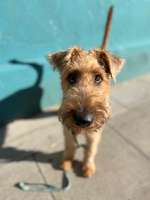 Ach, wie schnell die Zeit vergeht-Beitrag-Bild