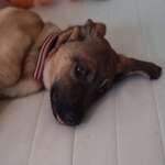 Ersteller:in Lydia Profilbild