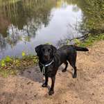 Ersteller:in Alina Profilbild