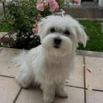 Ersteller:in Sophia Profilbild