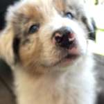 Ersteller:in Anja Profilbild