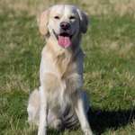 Ersteller:in Viona Profilbild