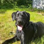 Ersteller:in Rebecca & Carl Profilbild