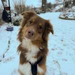 Ersteller:in Katharina Profilbild