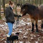 Ersteller:in Monique Profilbild