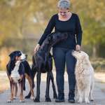 Ersteller:in Anne Profilbild