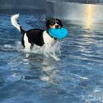 Ersteller:in Lea Profilbild