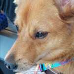 Ersteller:in Angie Profilbild