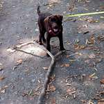 Ersteller:in ~ Profilbild