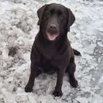 Ersteller:in ~ Profilbild