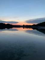 Hundeauslaufgebiet-Hundestrand am Dankernsee-Bild