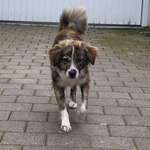 Ersteller:in Ra Profilbild