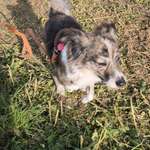 Ersteller:in Ra Profilbild