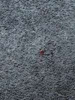 Durchfall-Beitrag-Bild