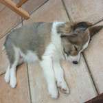 Ersteller:in Jana Profilbild