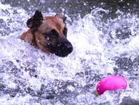 30. Farben Challenge - Pink-Beitrag-Bild