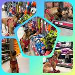 56. Foto Collage Challenge - Shopping Hund-Beitrag-Bild