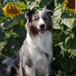 Ersteller:in Marie Profilbild