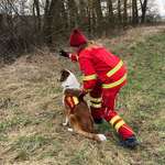 Ersteller:in Thea Profilbild