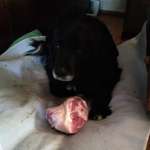 Ersteller:in Achim Profilbild