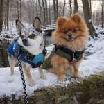 Ersteller:in Cynthia Profilbild