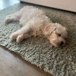 Ersteller:in Ramona Profilbild