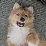 Ersteller:in Andrea Profilbild