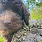 Ersteller:in Marion Profilbild