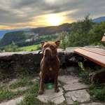 Ersteller:in Joel Profilbild