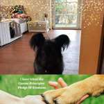 Ersteller:in Manuela Profilbild