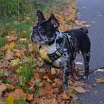 Ersteller:in Saira Profilbild